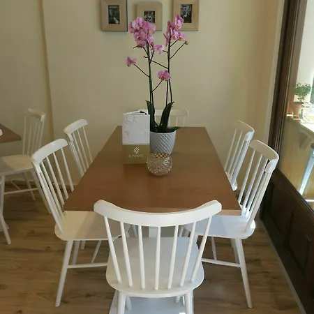 Kallisti Daire İskados